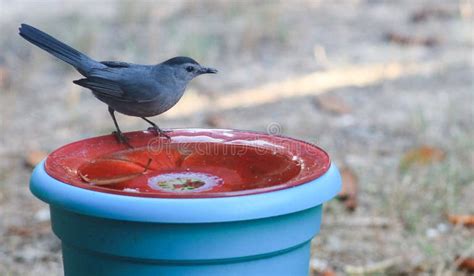 How can I unlock my next free thriller adventure: find similar plot-twist mysteries?