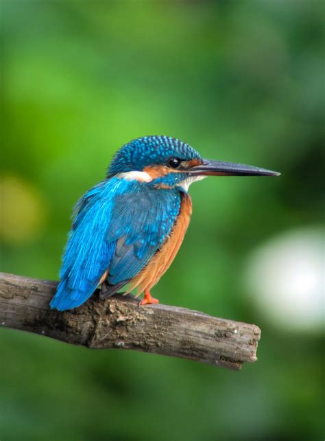 What common Wuxia/Xianxia tropes indicate a series will stay engaging for hundreds of chapters?