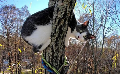 Stuck after popular fantasy? How to discover your next FREE series from thousands?