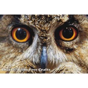 Which free Xianxia novels offer clear cultivation progression for new readers?