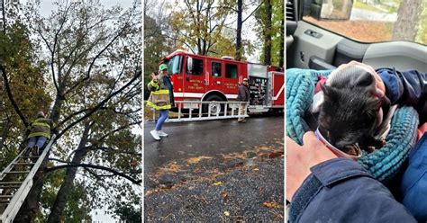 Stuck in a fantasy rut? How to discover diverse, free epic adventures?