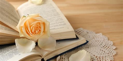 What specific free romance tropes ensure a fresh, captivating novel adventure?