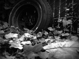 Tired of predictable plots? How to uncover fresh, free romance adventures?