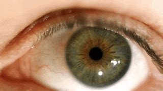 How do free novels unlock urban escape & adventure from city stress daily?